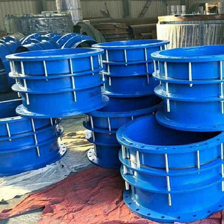 長沙雙法蘭限位正能量奖励网站入口接頭